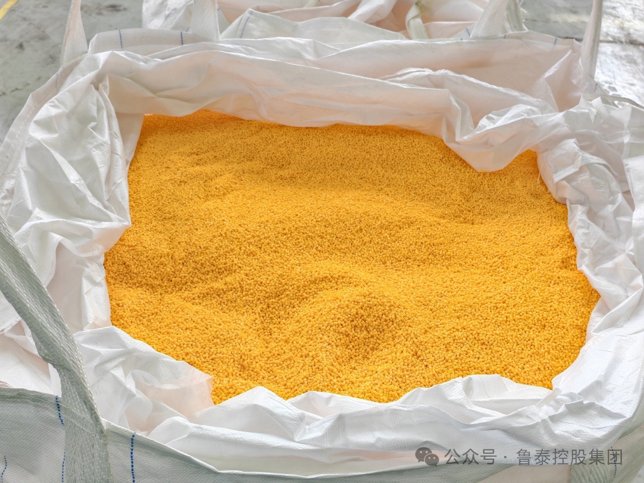 1717724861168942.jpg 微信图片_20240607094717.jpg